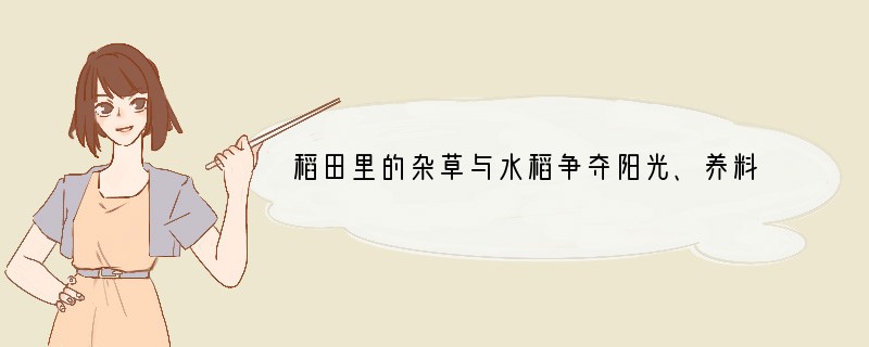 稻田里的杂草与水稻争夺阳光、养料和水分，这种关系是（　　）A．捕食关系B．竞争关系C